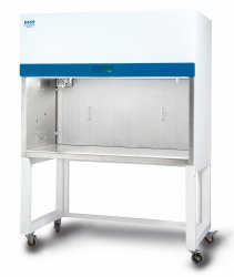       RHL