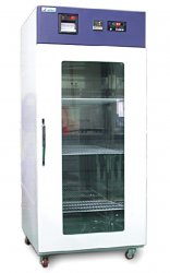 ������������ ������ ����� � ������